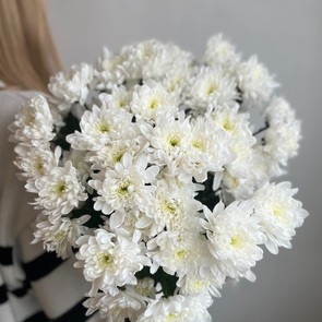 Монобукет - Белые хризантемы