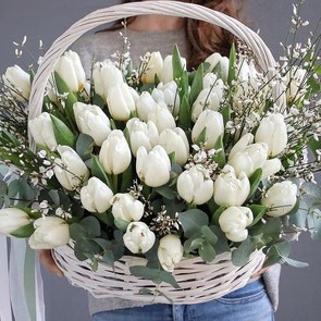 Корзина с тюльпанами - Белый снег