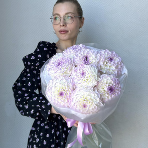 Нежные сиреневые георгины, 9 шт