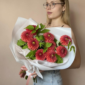 Георгины с малиной 9 шт